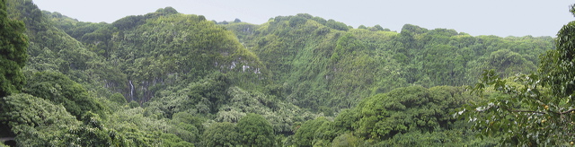 151-5107-merged_1.jpg