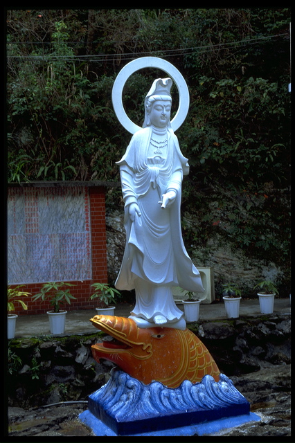 img0026.jpg